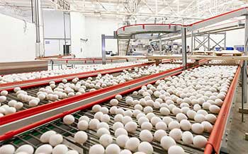 PRODUCAO-KATAYAMA (1)