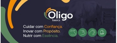 OLIGO BASICS_DESTAQUES