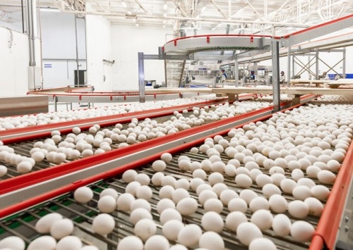 Exportar é preciso. Acordos bilaterais são necessários